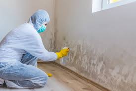 Mold Remediation for Rental Properties in Forest Lake, IL